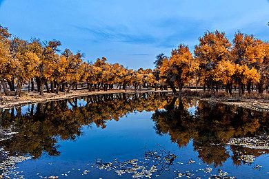 恐怖游戏《逃生：试炼》上架Steam 新预告及截图